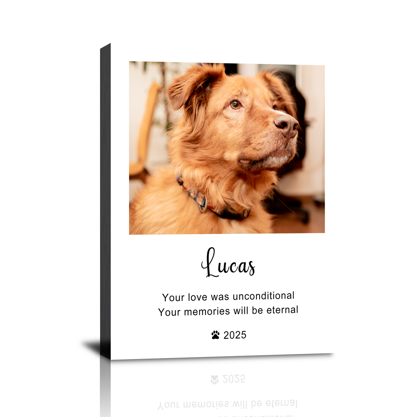 Individuelles Gedenkbild für Ihr Haustier auf Leinwand – Handgemalte Hunde- und Katzenporträts, personalisierte Erinnerungsstücke für die Wand, perfektes Geschenk für Tierliebhaber, verewigen Sie Ihr geliebtes Haustier in lebensechten Details